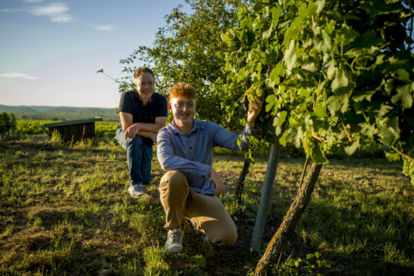 herbst-0034025 herbst-0034025